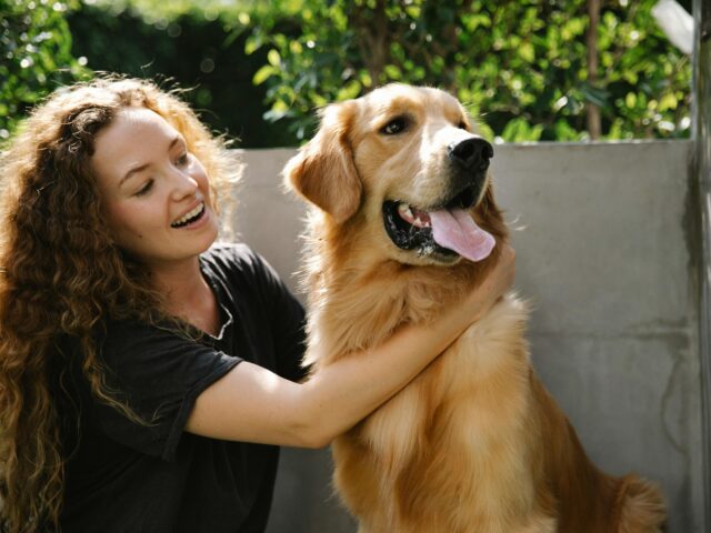 Paws-itively Purr-fect News: Pet Insurance Is Here!